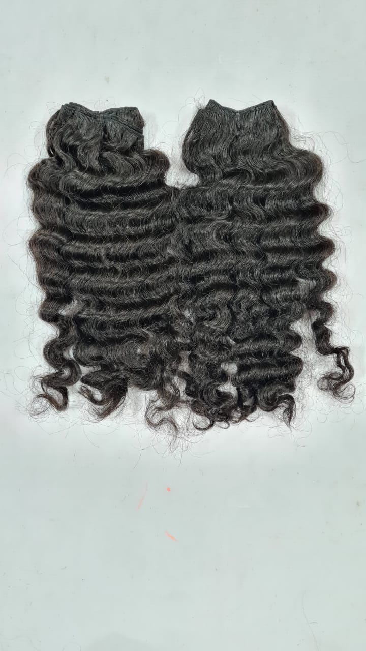 BURMESE CURLY